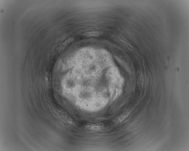 X0000071780655200607211558