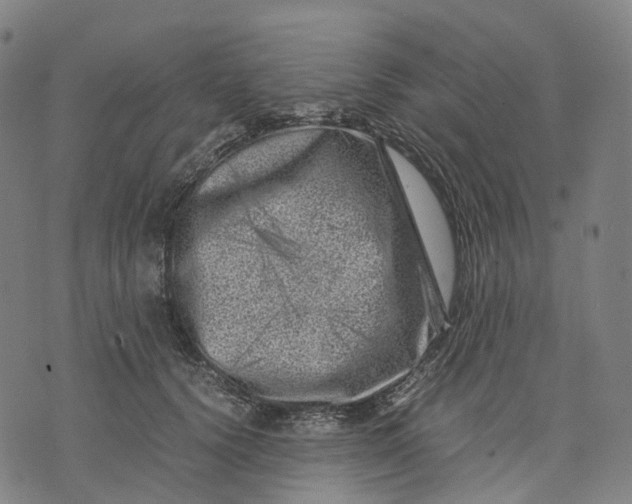 X0000071780656200607211558