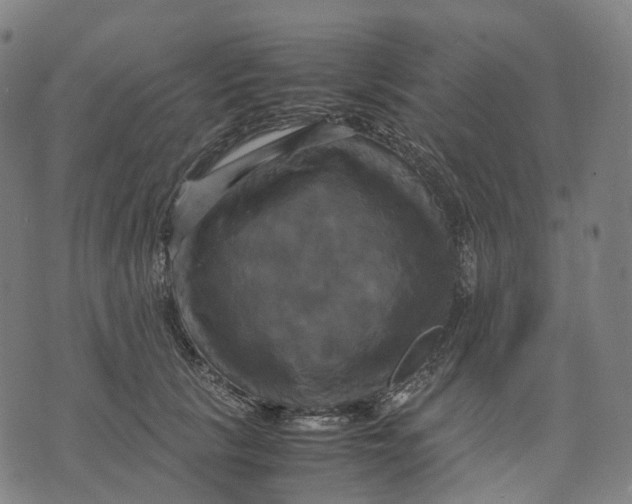 X0000071780657200607211558