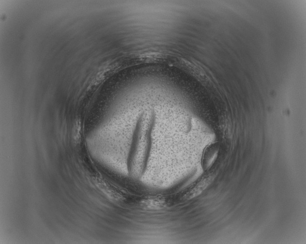 X0000071780660200607211558