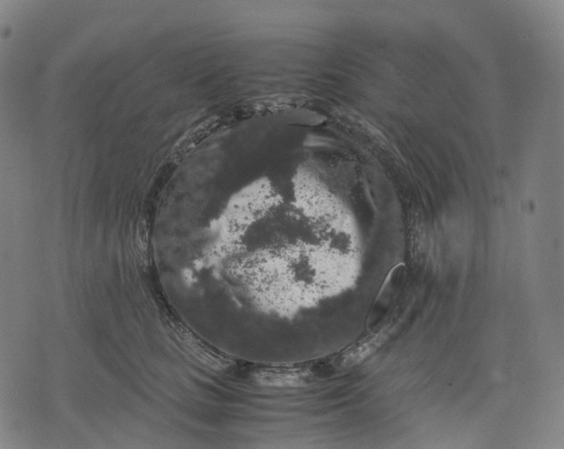 X0000071780661200607211558