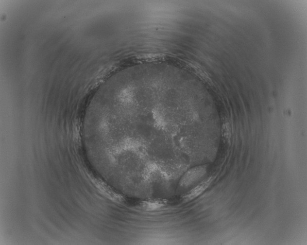 X0000071780662200607211558