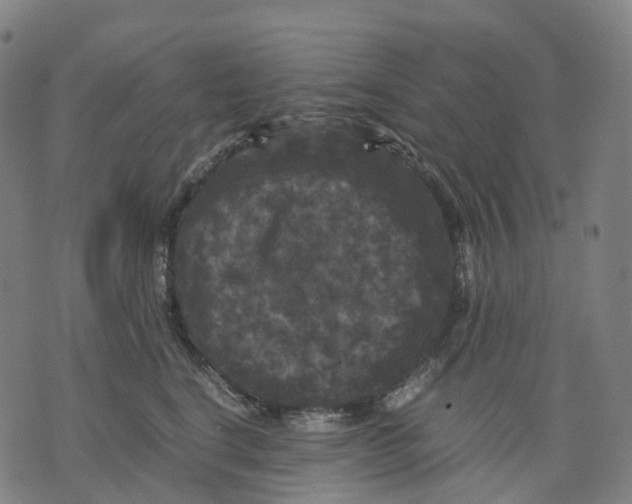 X0000071780664200607211558