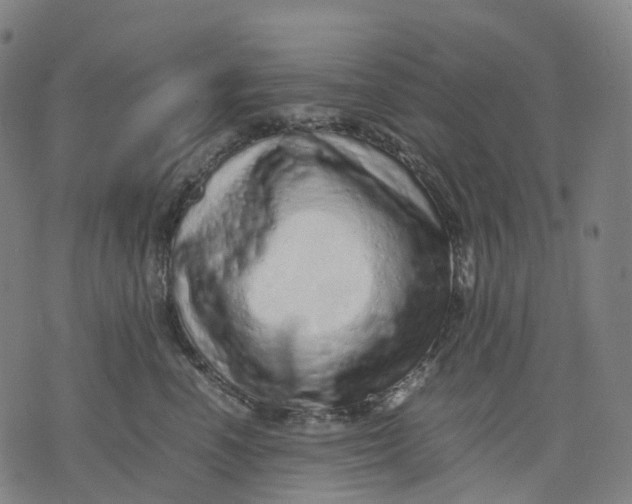 X0000071780666200607211558