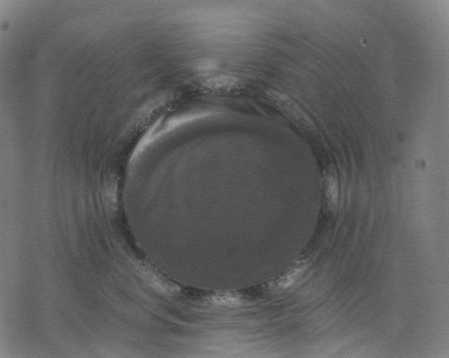 X0000071780668200607211558