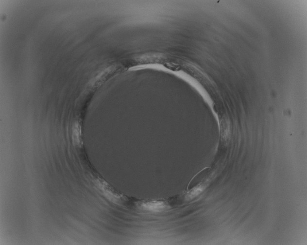 X0000071780669200607211558