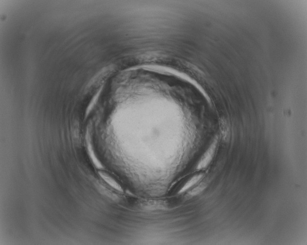 X0000071780670200607211558