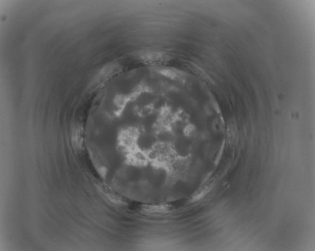 X0000071780671200607211558