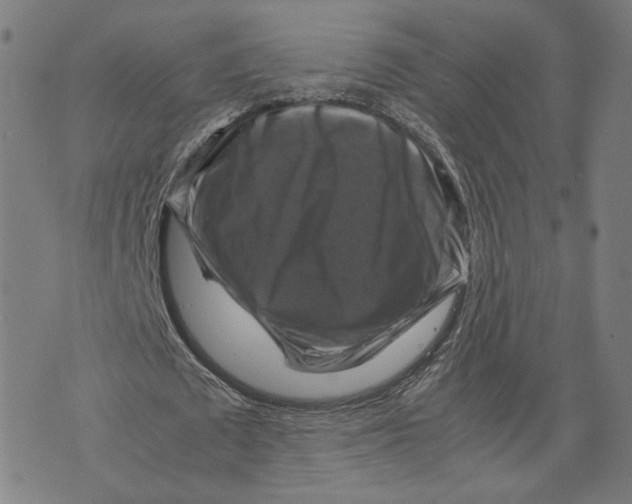 X0000071780673200607211558