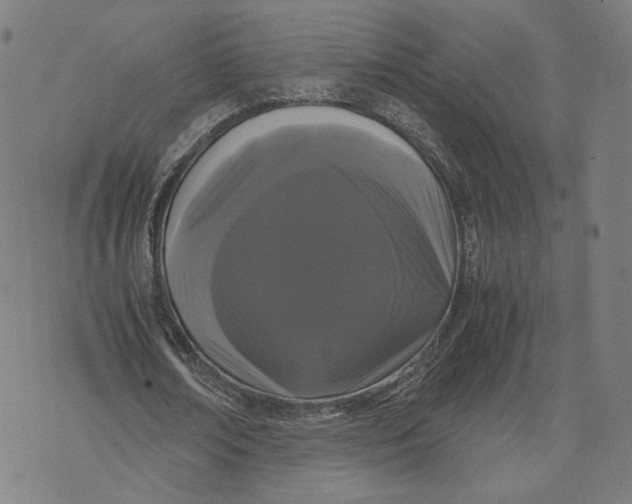 X0000071780674200607211558