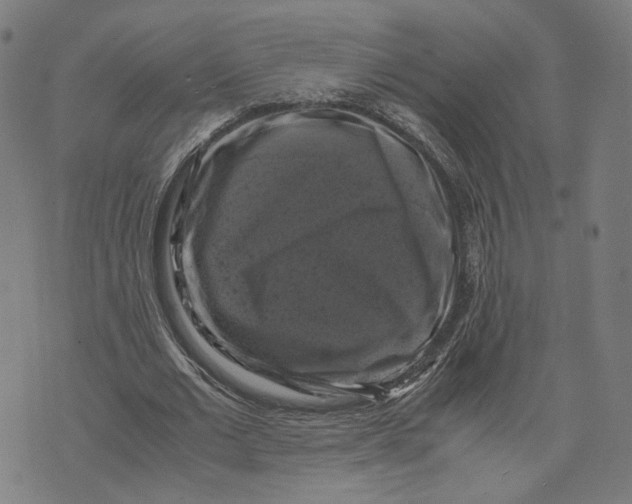 X0000071780677200607211557