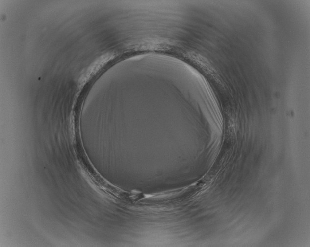 X0000071780678200607211557