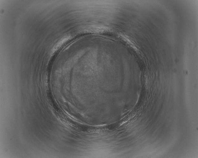 X0000071780679200607211557