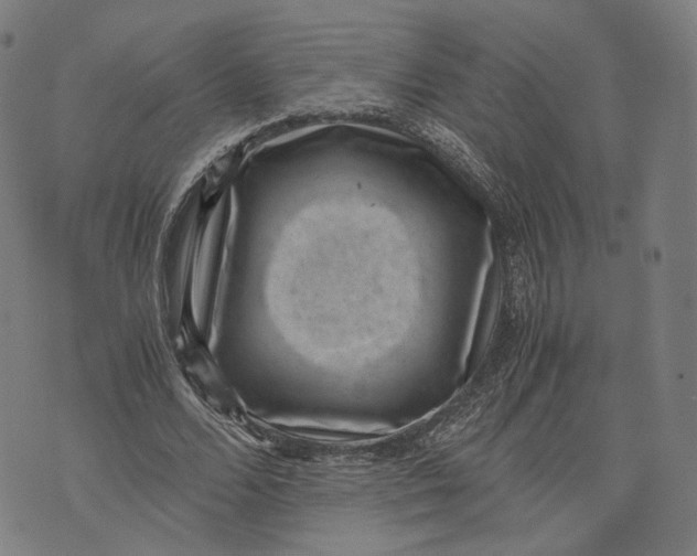 X0000071780680200607211557