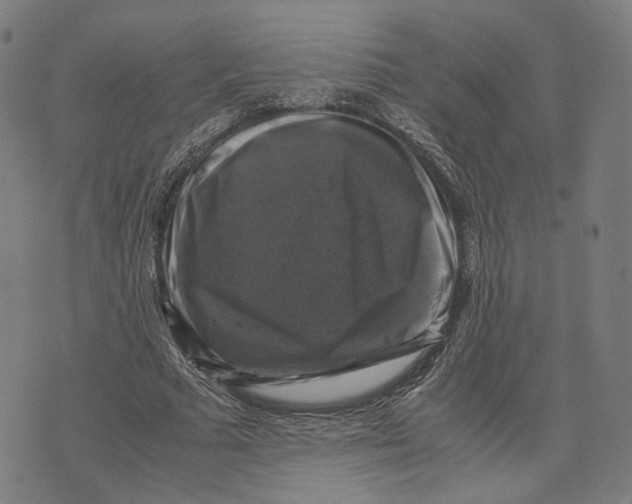 X0000071780681200607211557