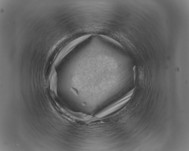 X0000071780684200607211557