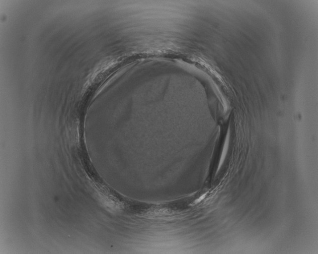 X0000071780685200607211557