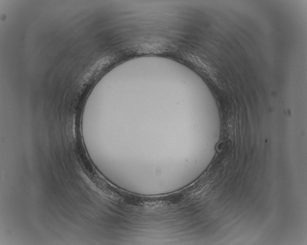 X0000071780686200607211557