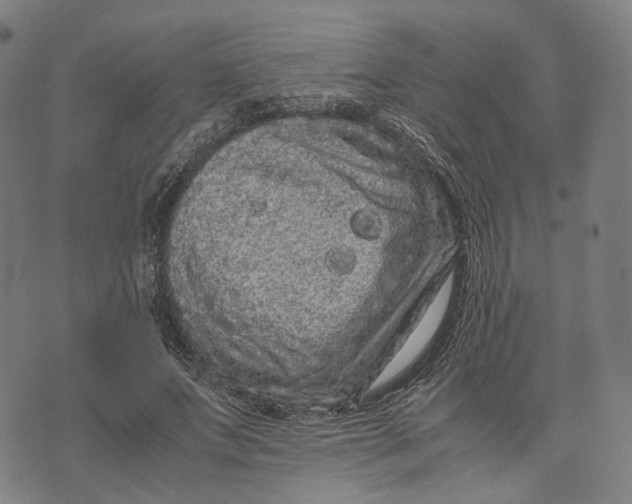 X0000071780687200607211557