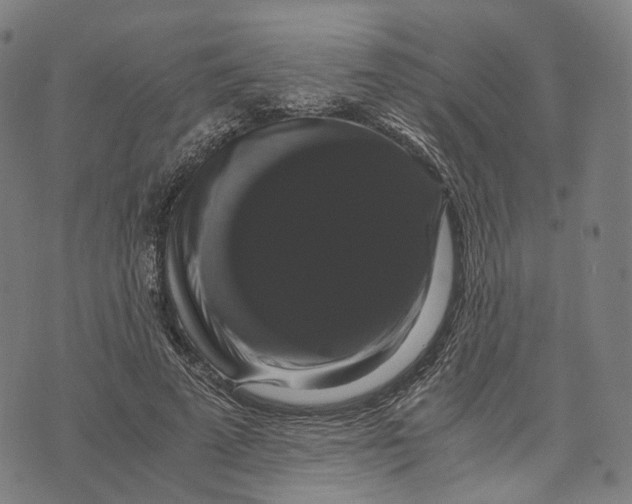 X0000071780689200607211557