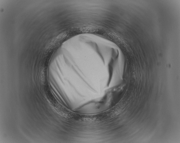 X0000071780690200607211557