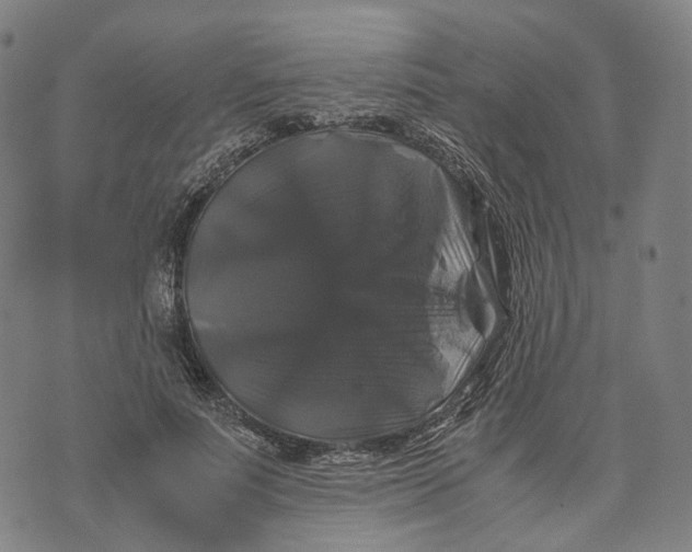 X0000071780691200607211557