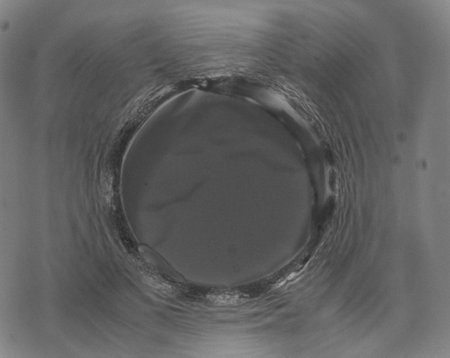 X0000071780693200607211557