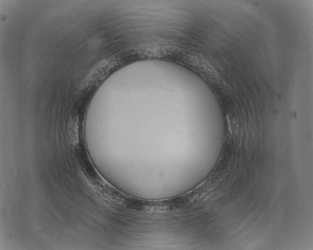 X0000071780694200607211557