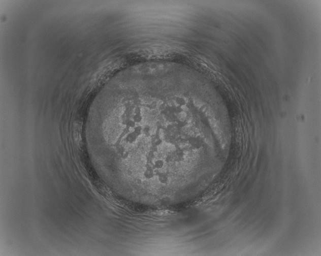 X0000071780695200607211557