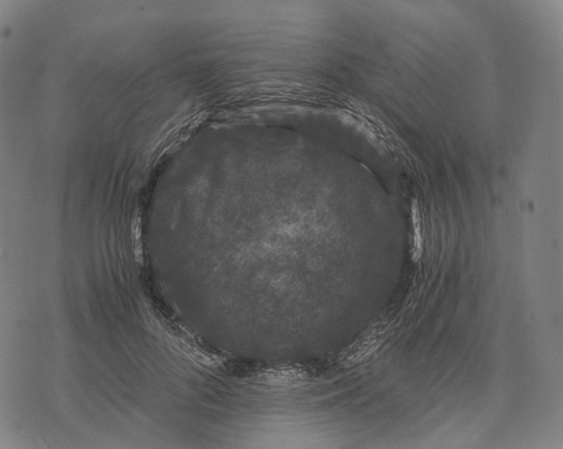 X0000071780696200607211557