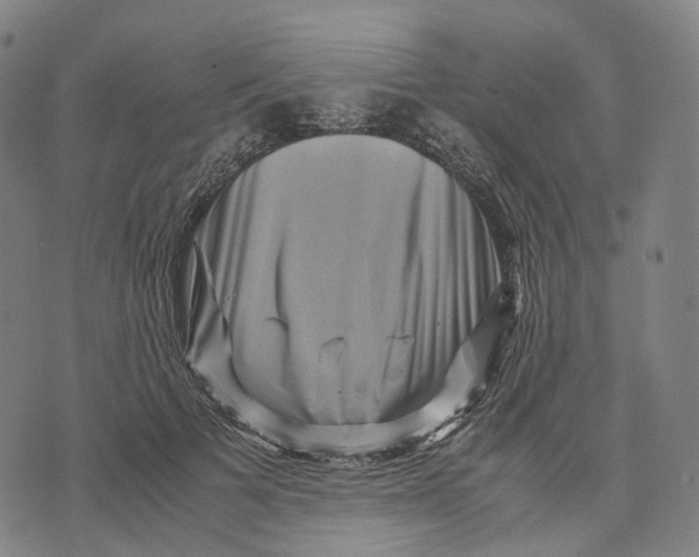 X0000071780697200607211557