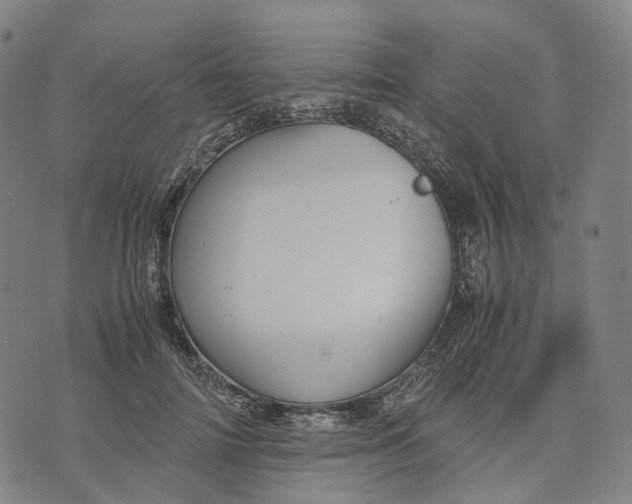 X0000071780698200607211557