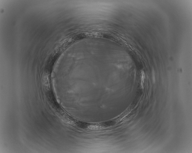 X0000071780699200607211557