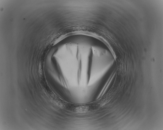 X0000071780700200607211557