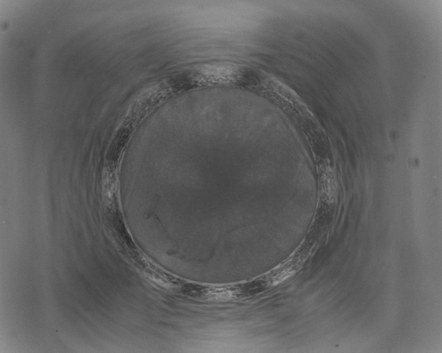 X0000071780701200607211557