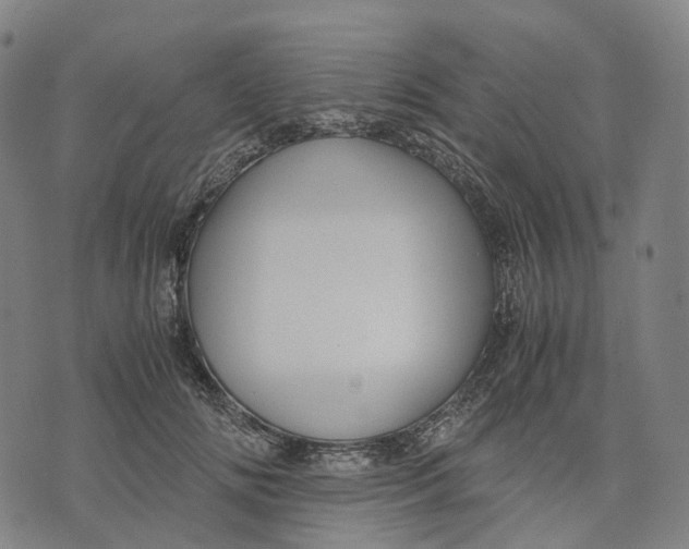 X0000071780702200607211557