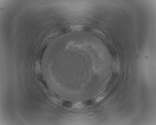 X0000071780705200607211557