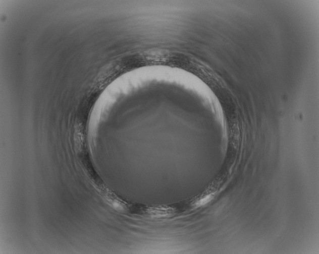 X0000071780707200607211557