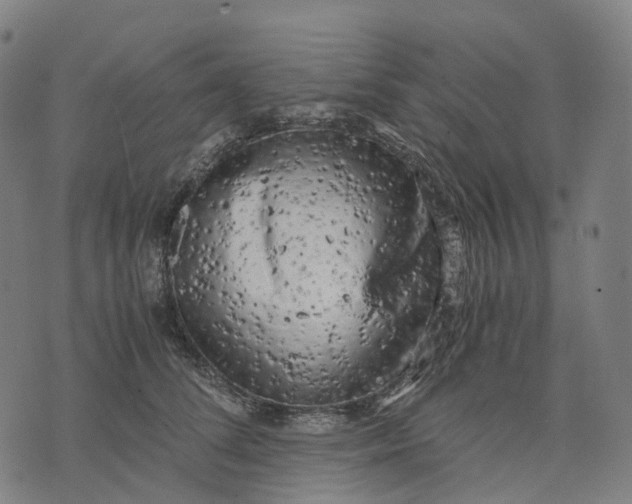 X0000071780708200607211557