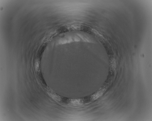 X0000071780709200607211557