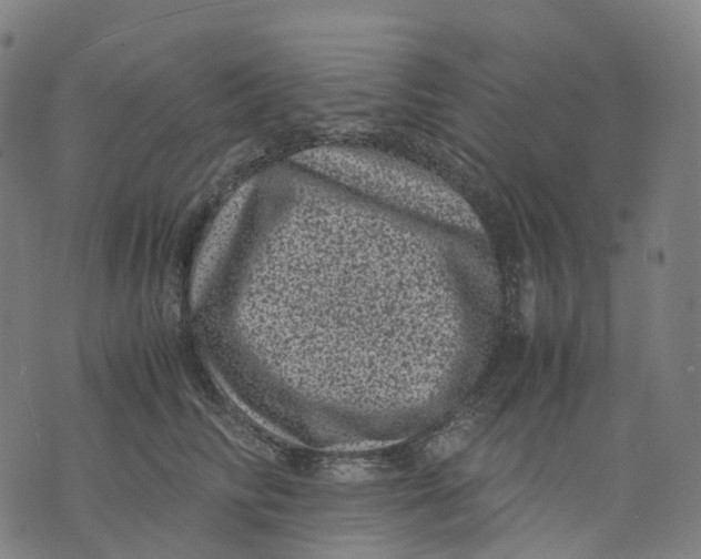 X0000071780710200607211557