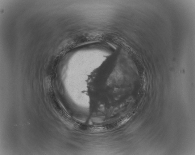 X0000071780711200607211557