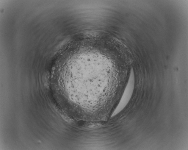 X0000071780712200607211557