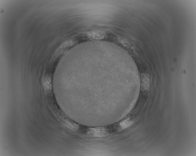 X0000071780713200607211557