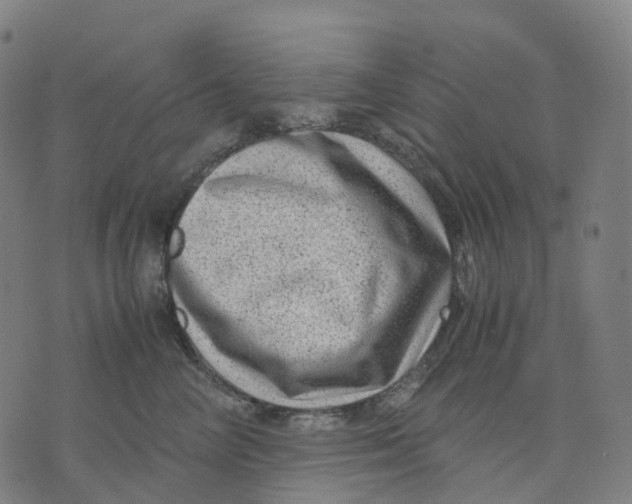 X0000071780714200607211557