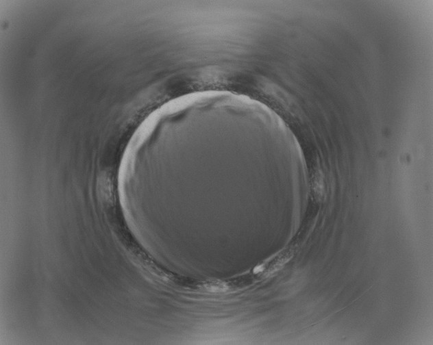 X0000071780715200607211557