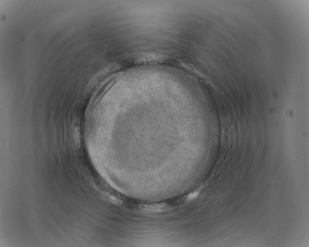 X0000071780716200607211557