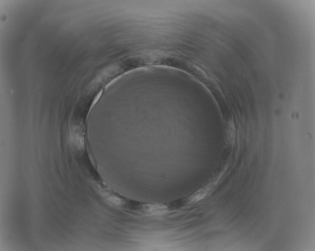 X0000071780719200607211557