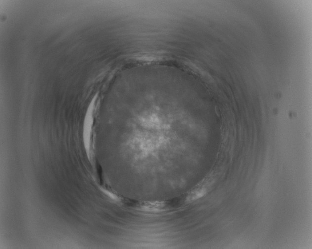 X0000071780720200607211557