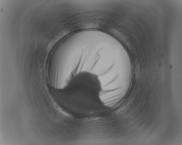 X0000071780721200607211556